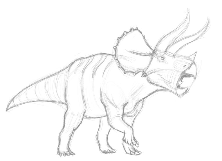 Finished sketch of triceratops